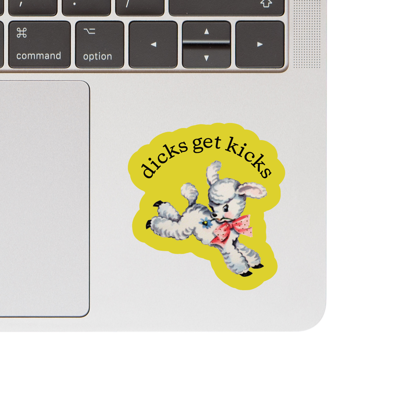 Dicks Get Kicks Vinyl Sticker