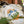 Load image into Gallery viewer, Oregon Fifty Mountain Ranges Four Seasons Tee