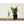 Load image into Gallery viewer, Misty Glass Plant Mister