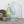 Load image into Gallery viewer, Pressed Glass Fish Glass