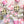 Load image into Gallery viewer, Coastal Christmas Body Butter