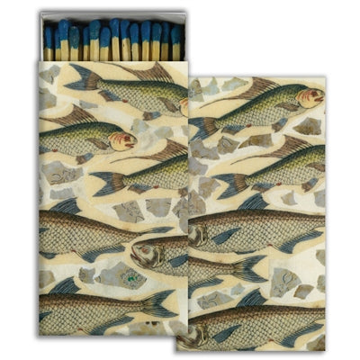 Fish School Boxed Matches