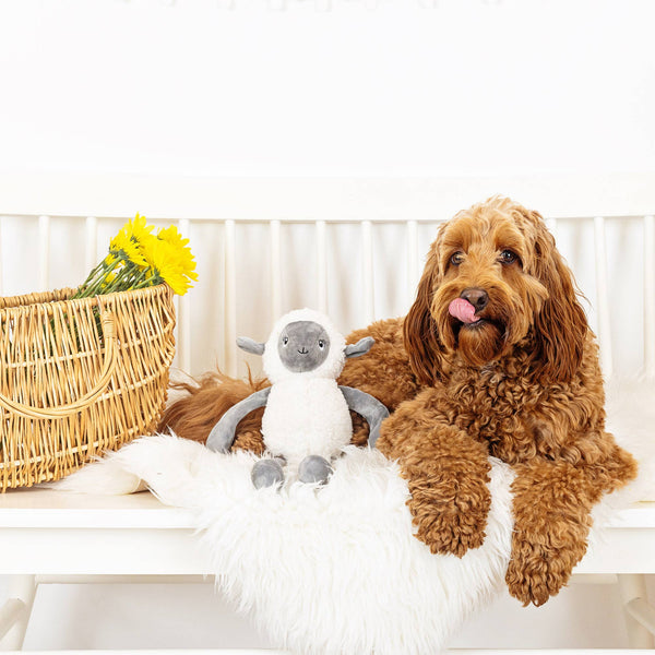 LITTLE LAMBY PLUSH DOG TOY