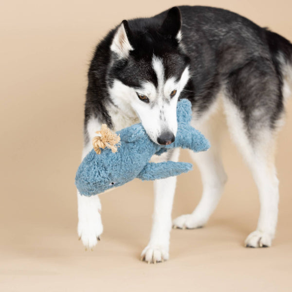 OH WHALE DOG TOY