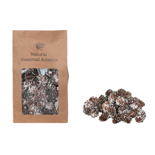 Dried Pinecones w/ Snow
