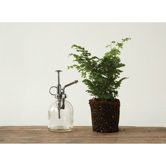 Misty Glass Plant Mister
