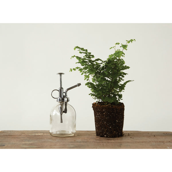 Misty Glass Plant Mister