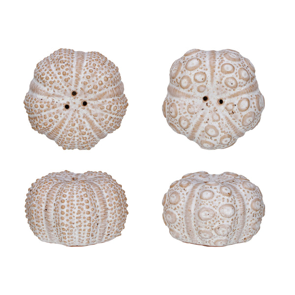 Urchin Salt & Pepper Shaker